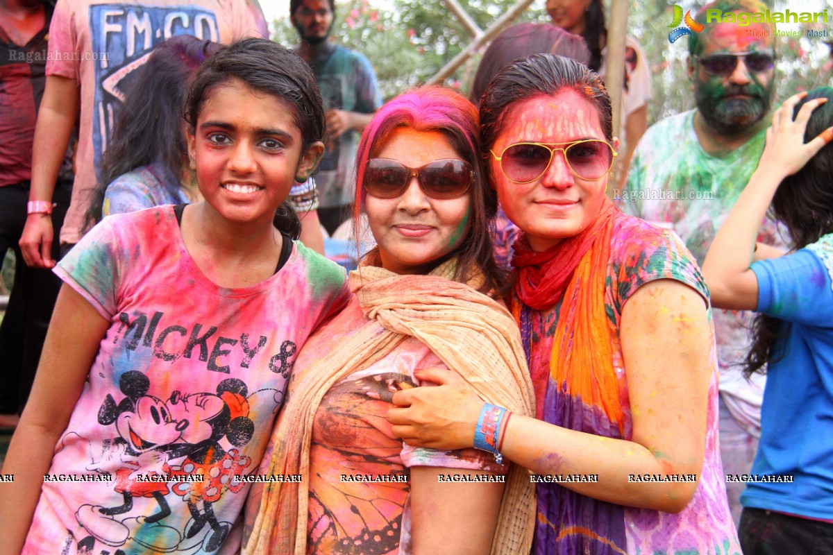 Bang Bang Holi Fest 2015 at Novotel, Hyderabad