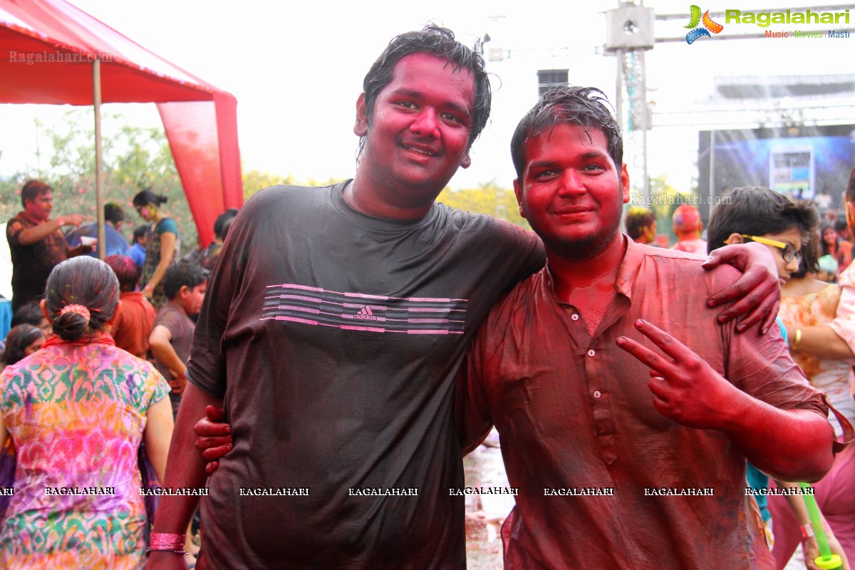 Bang Bang Holi Fest 2015 at Novotel, Hyderabad