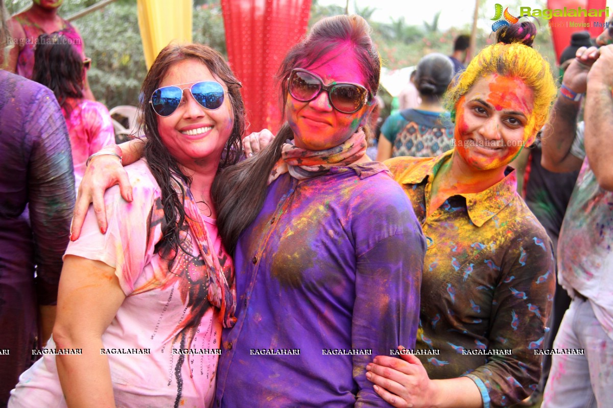 Bang Bang Holi Fest 2015 at Novotel, Hyderabad