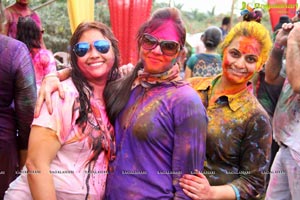 Bang Bang Holi Fest 2015