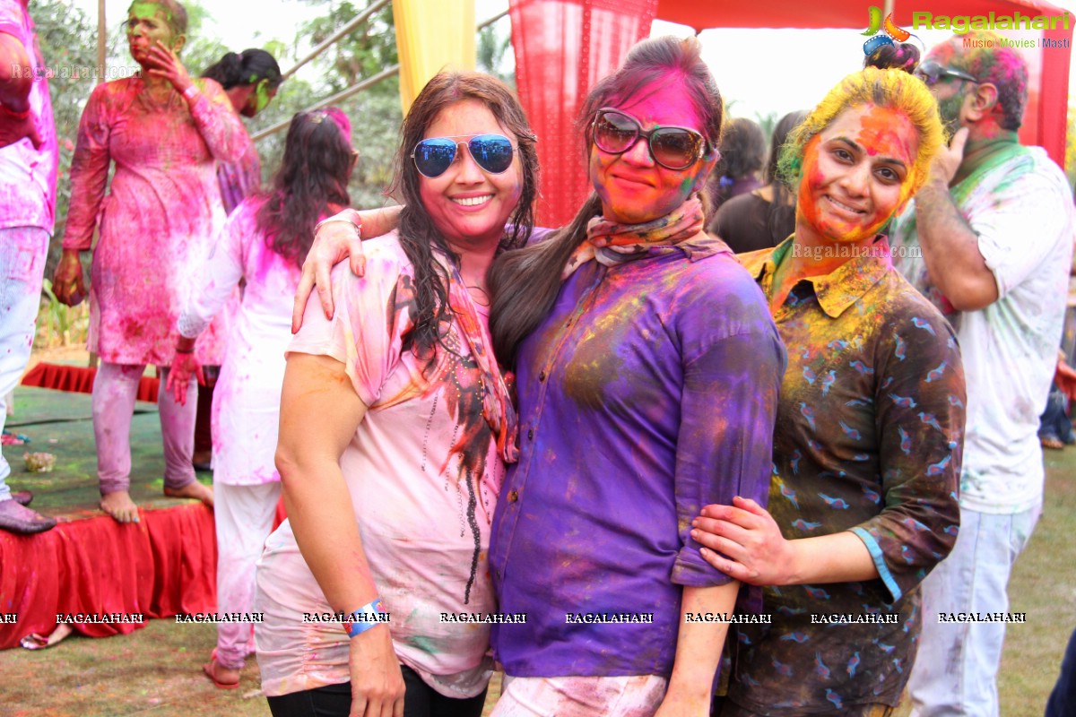 Bang Bang Holi Fest 2015 at Novotel, Hyderabad