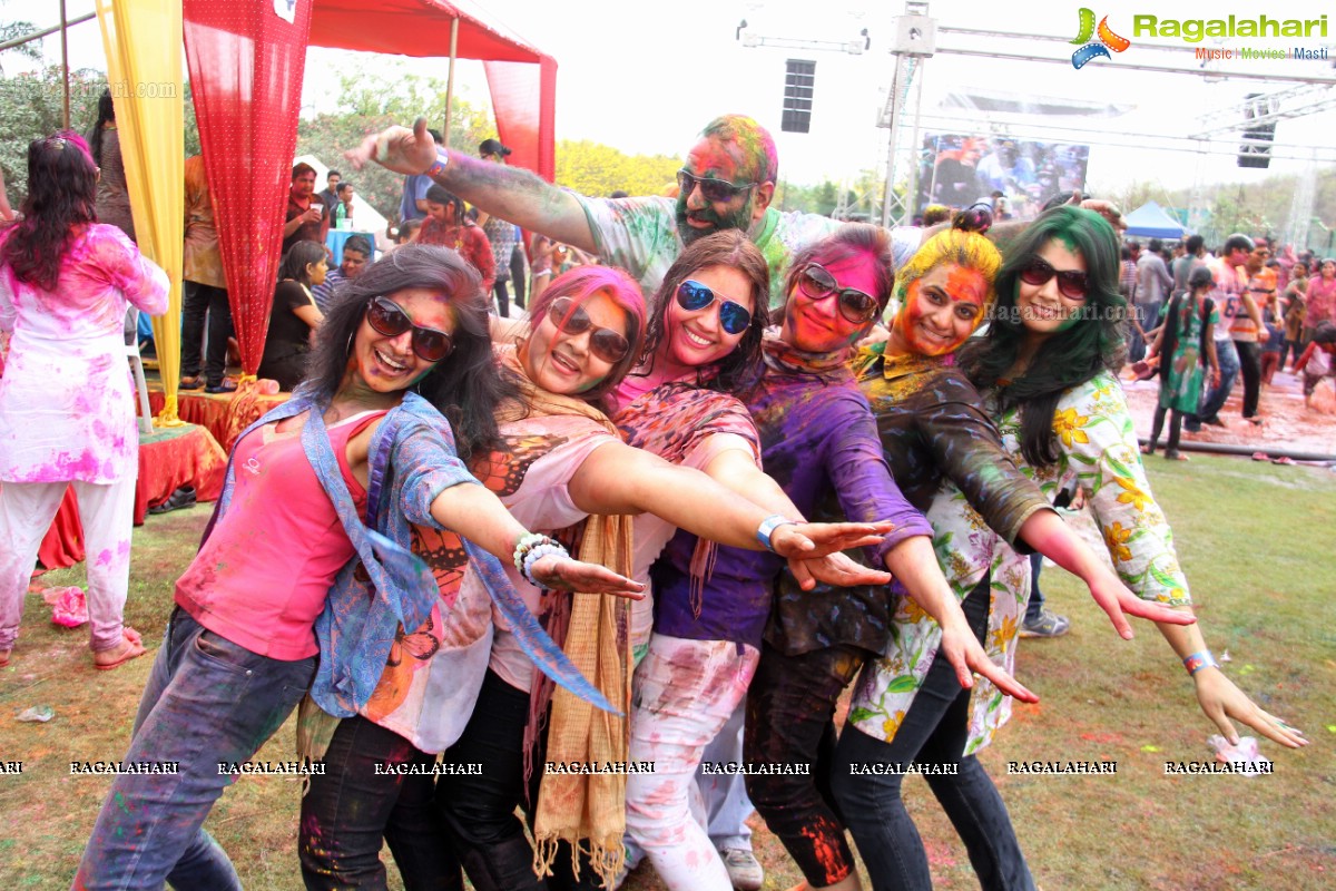 Bang Bang Holi Fest 2015 at Novotel, Hyderabad