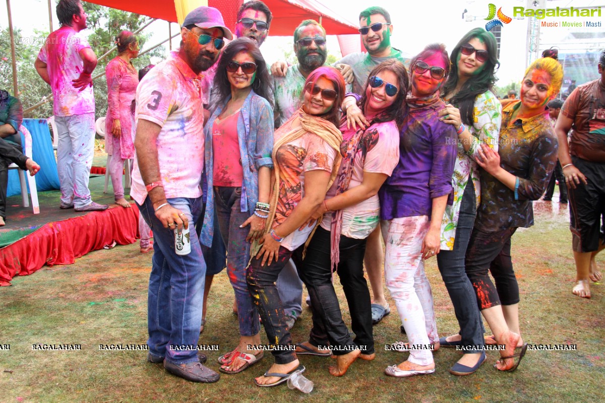 Bang Bang Holi Fest 2015 at Novotel, Hyderabad