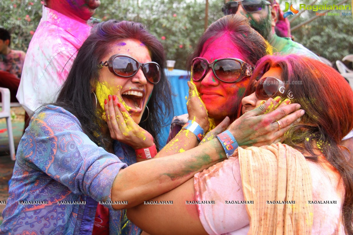 Bang Bang Holi Fest 2015 at Novotel, Hyderabad