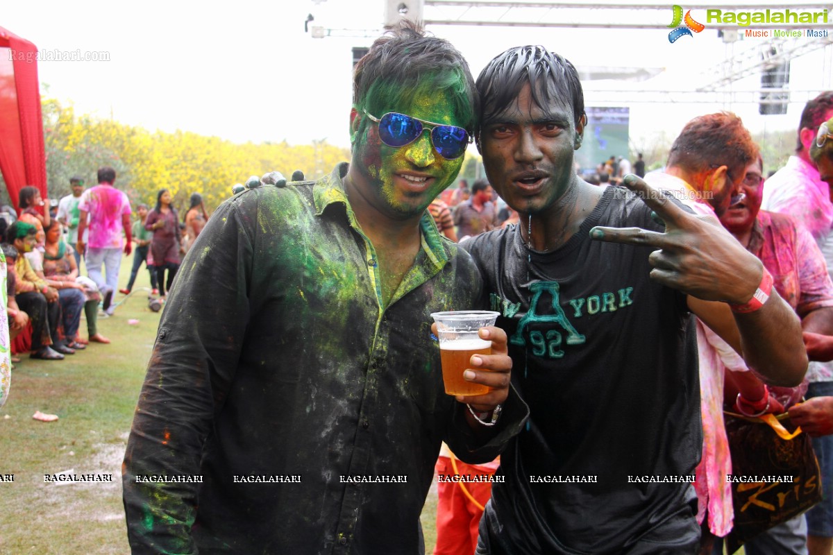 Bang Bang Holi Fest 2015 at Novotel, Hyderabad