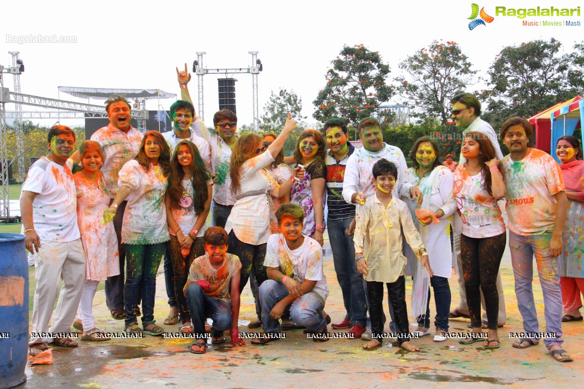 Bang Bang Holi Fest 2015 at Novotel, Hyderabad