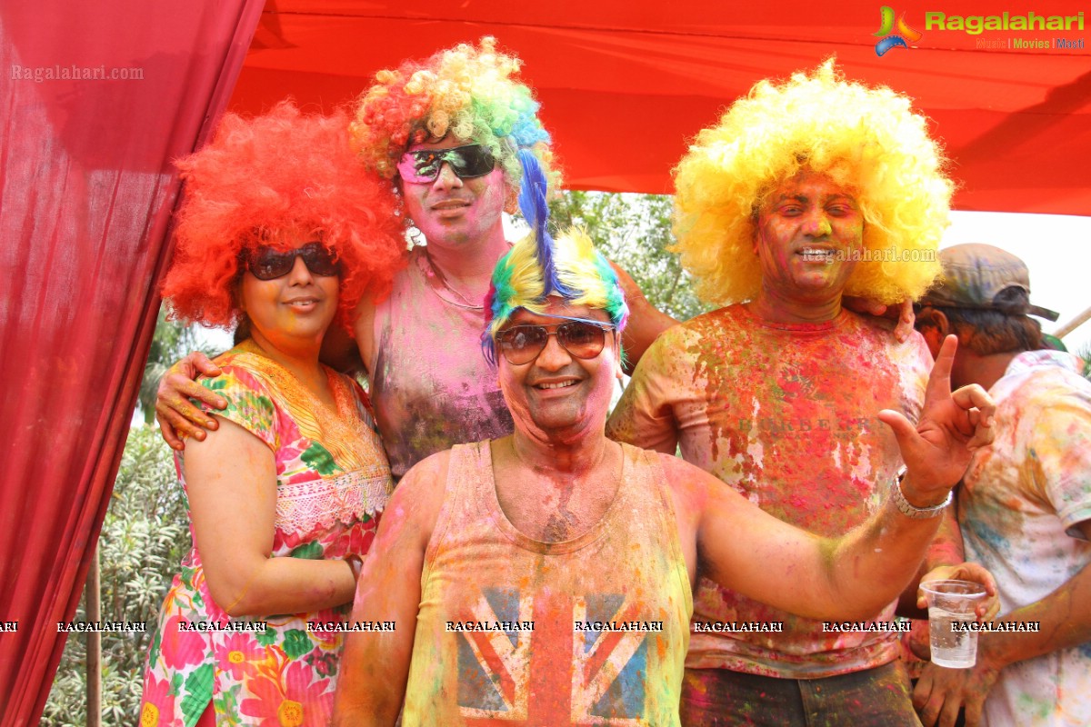 Bang Bang Holi Fest 2015 at Novotel, Hyderabad