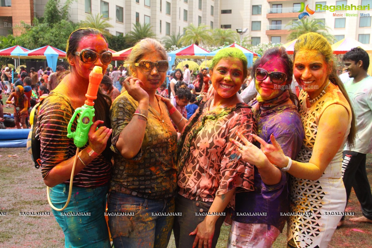 Bang Bang Holi Fest 2015 at Novotel, Hyderabad