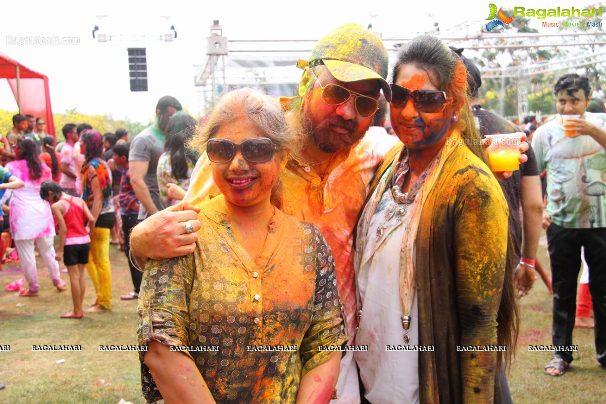 Bang Bang Holi Fest 2015 at Novotel, Hyderabad