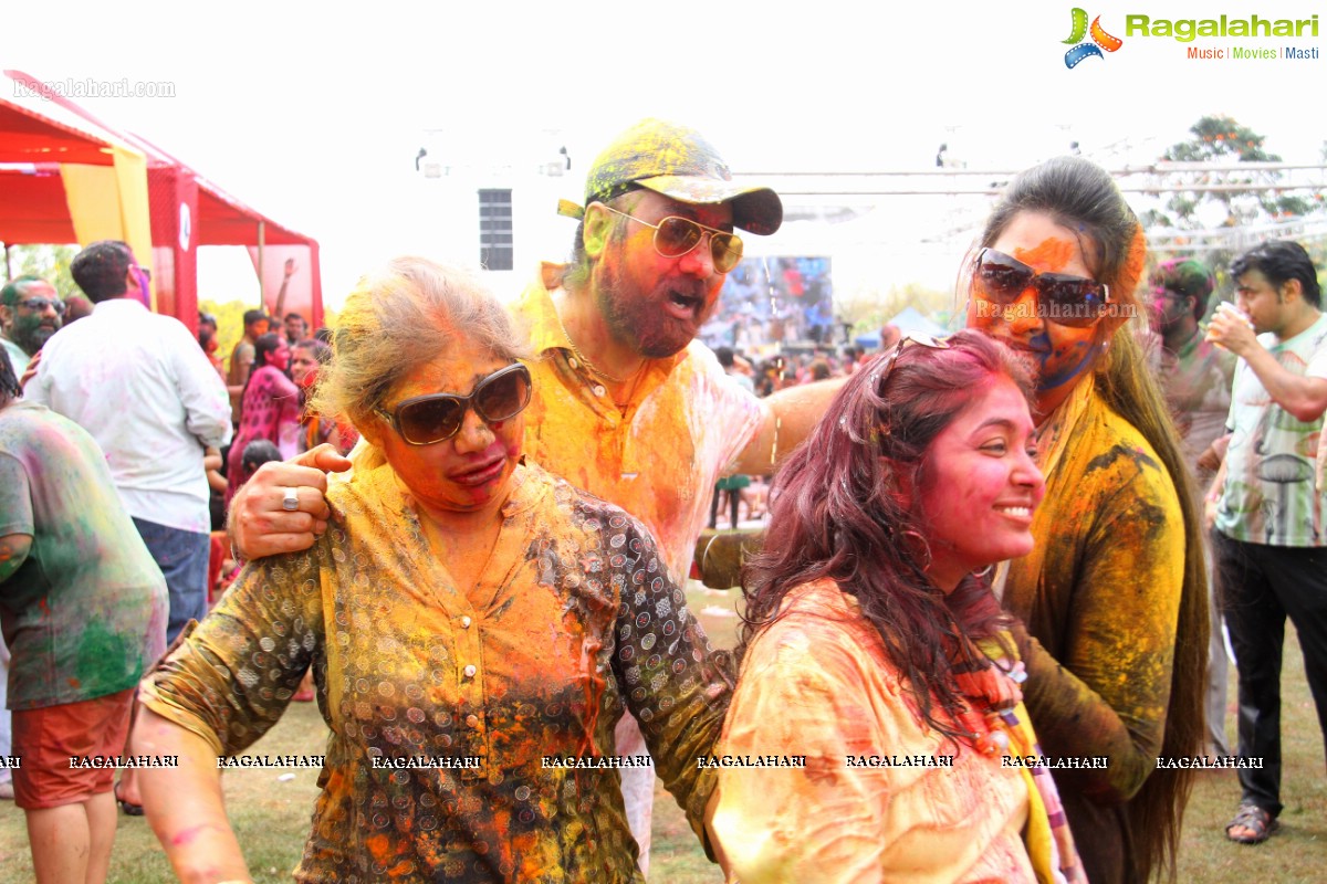 Bang Bang Holi Fest 2015 at Novotel, Hyderabad