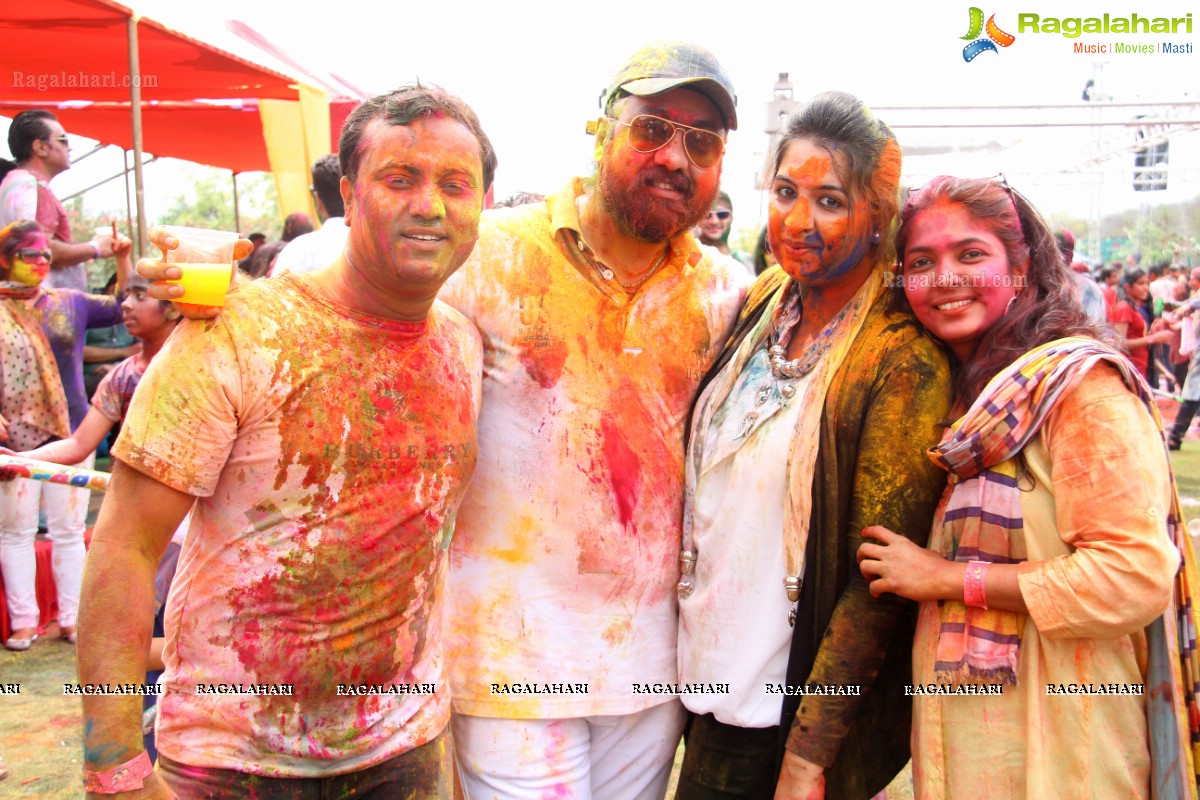 Bang Bang Holi Fest 2015 at Novotel, Hyderabad