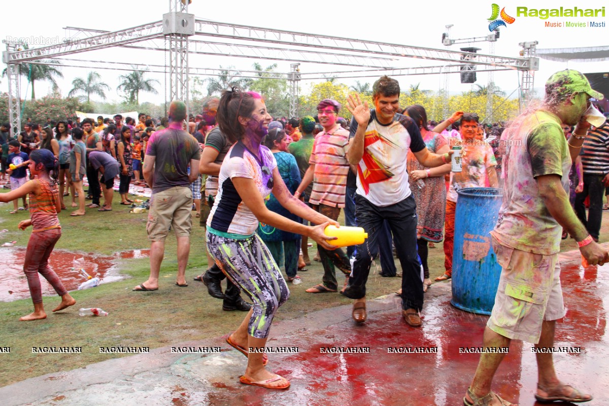 Bang Bang Holi Fest 2015 at Novotel, Hyderabad