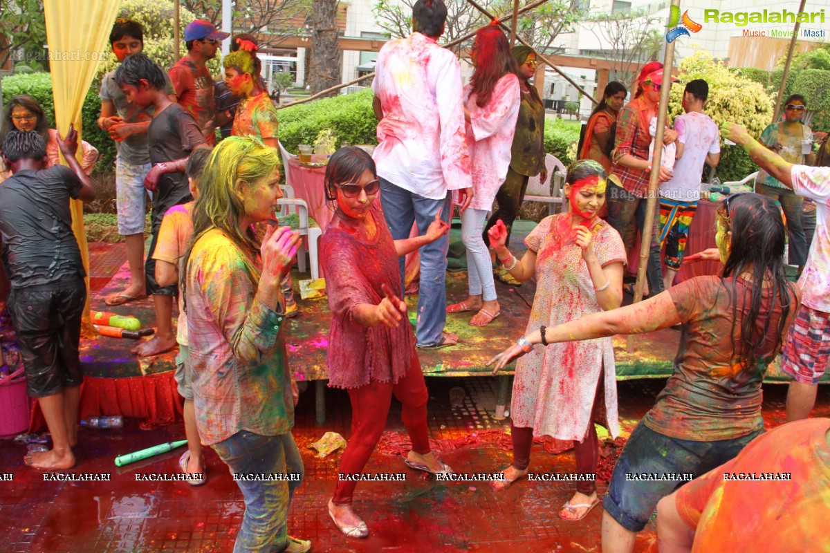 Bang Bang Holi Fest 2015 at Novotel, Hyderabad