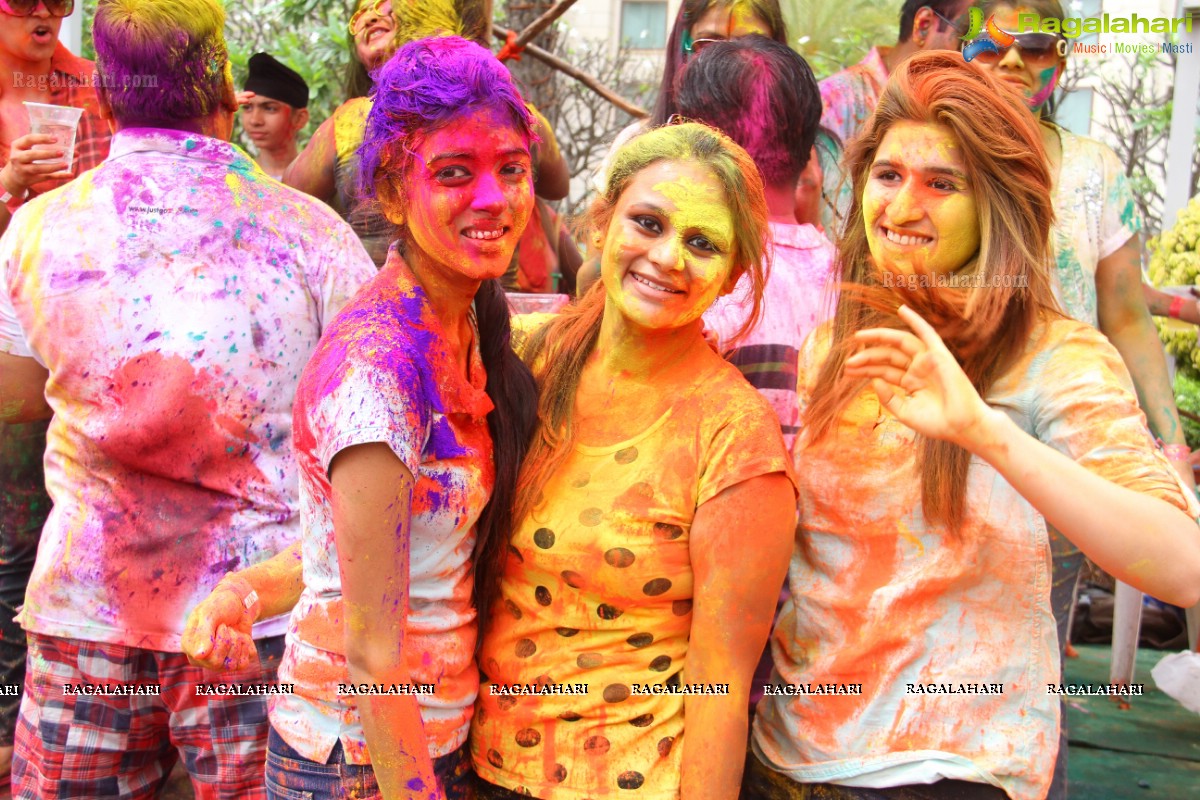 Bang Bang Holi Fest 2015 at Novotel, Hyderabad