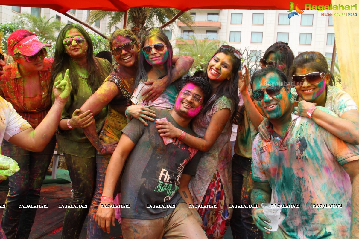 Bang Bang Holi Fest 2015 at Novotel, Hyderabad