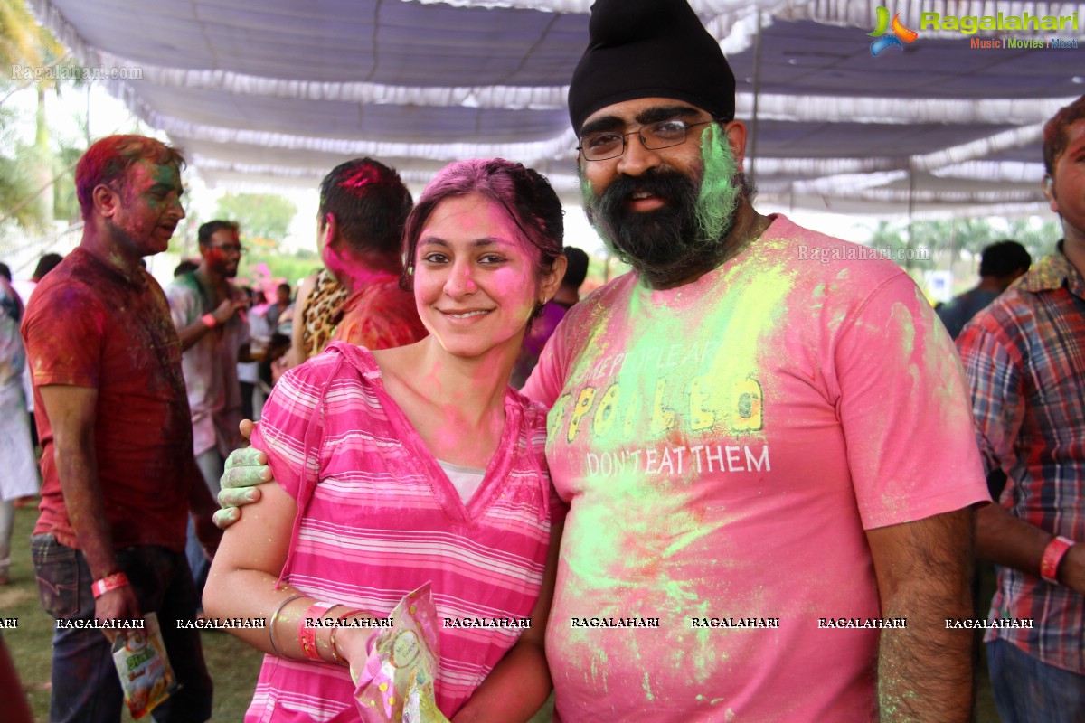 Bang Bang Holi Fest 2015 at Novotel, Hyderabad