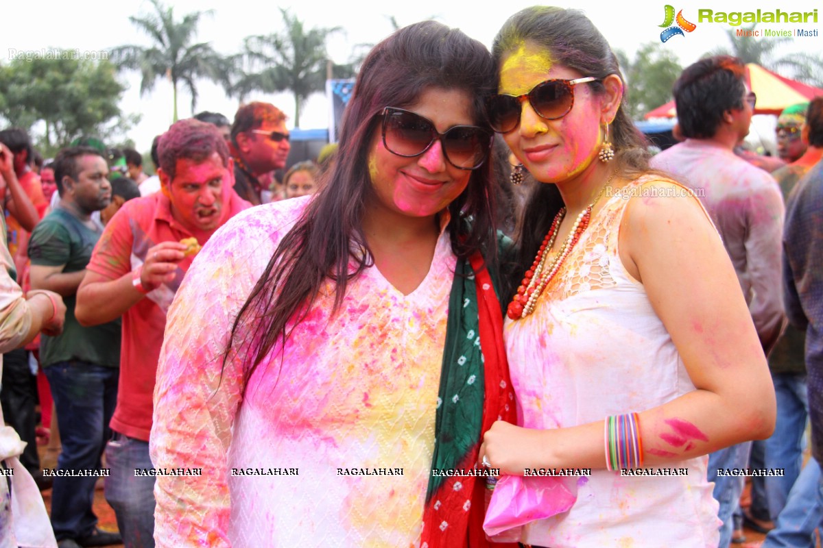 Bang Bang Holi Fest 2015 at Novotel, Hyderabad