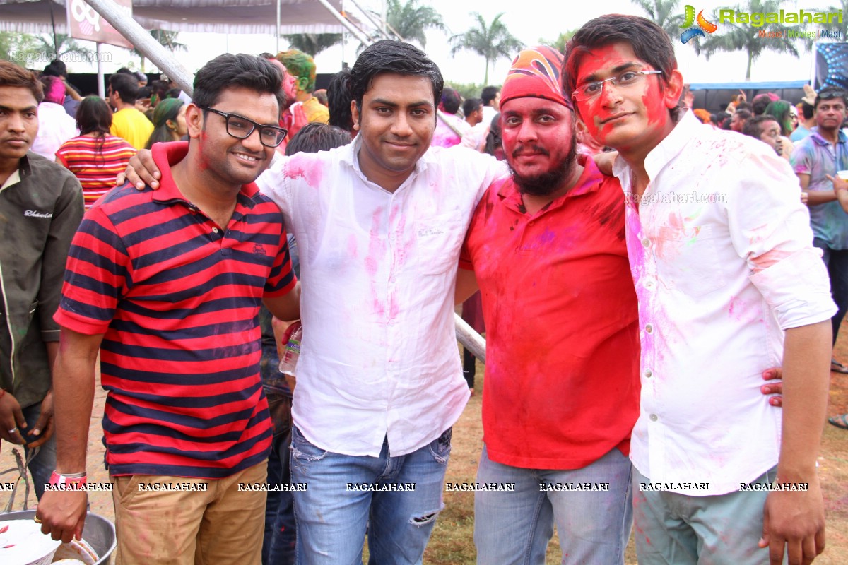 Bang Bang Holi Fest 2015 at Novotel, Hyderabad