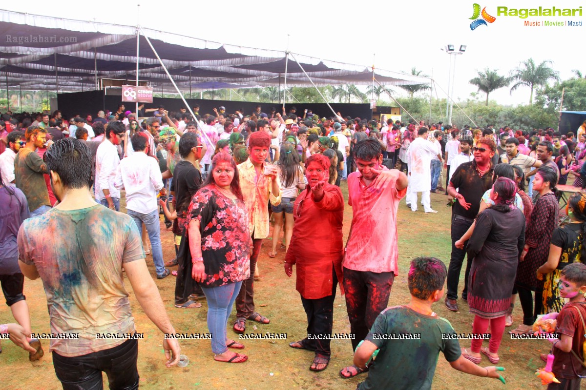 Bang Bang Holi Fest 2015 at Novotel, Hyderabad