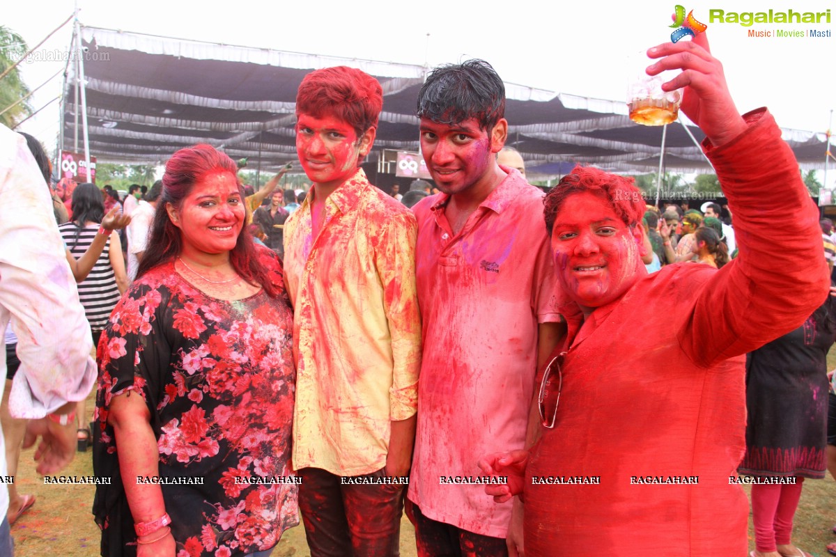 Bang Bang Holi Fest 2015 at Novotel, Hyderabad