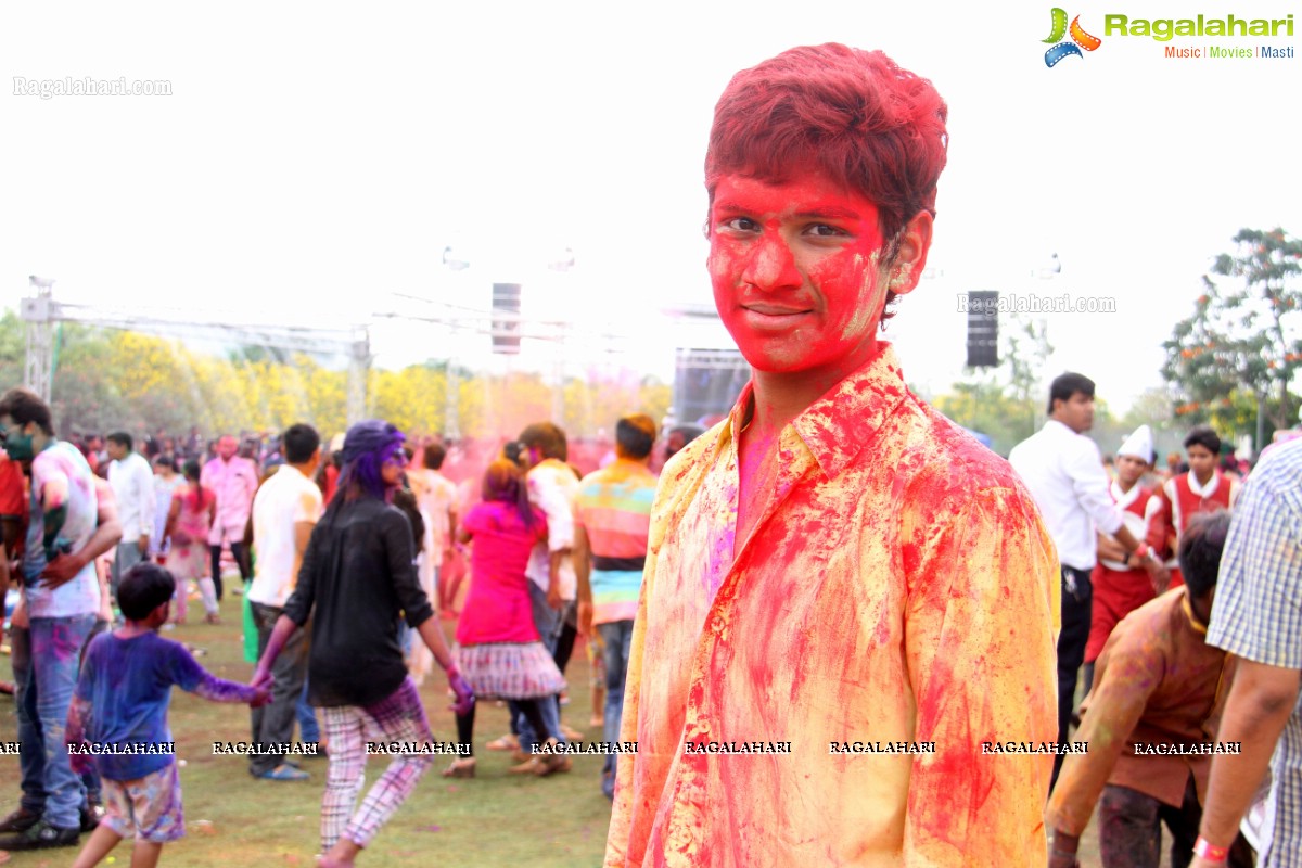 Bang Bang Holi Fest 2015 at Novotel, Hyderabad