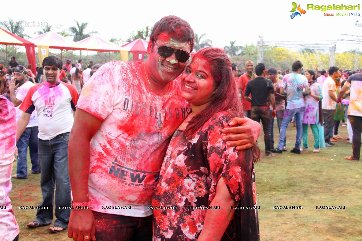 Bang Bang Holi Fest 2015 at Novotel, Hyderabad