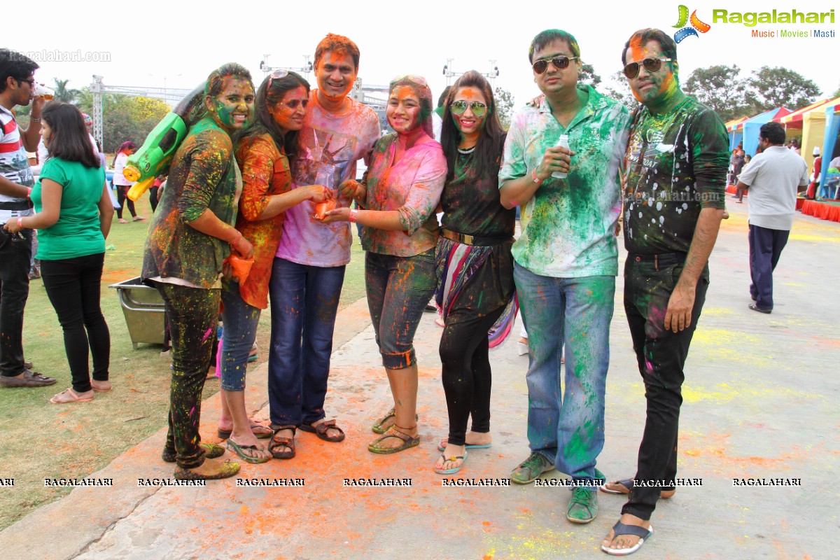 Bang Bang Holi Fest 2015 at Novotel, Hyderabad