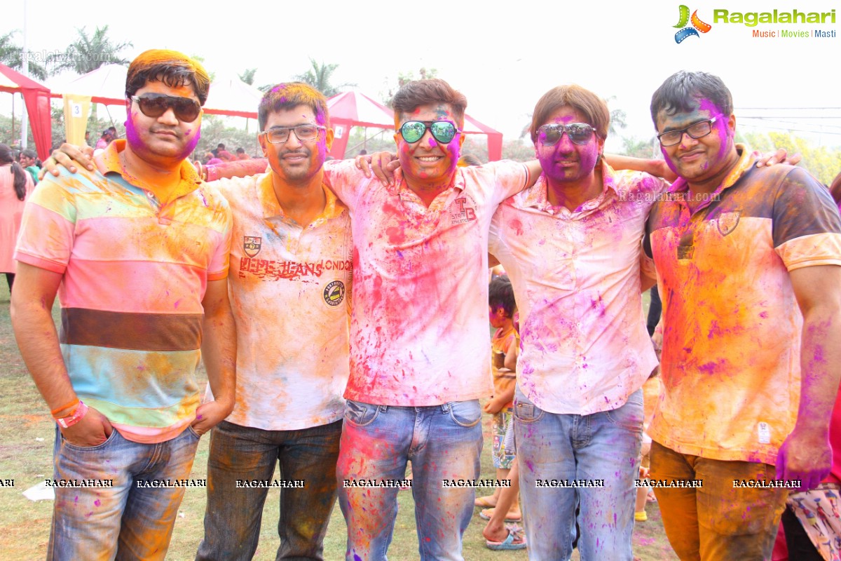 Bang Bang Holi Fest 2015 at Novotel, Hyderabad