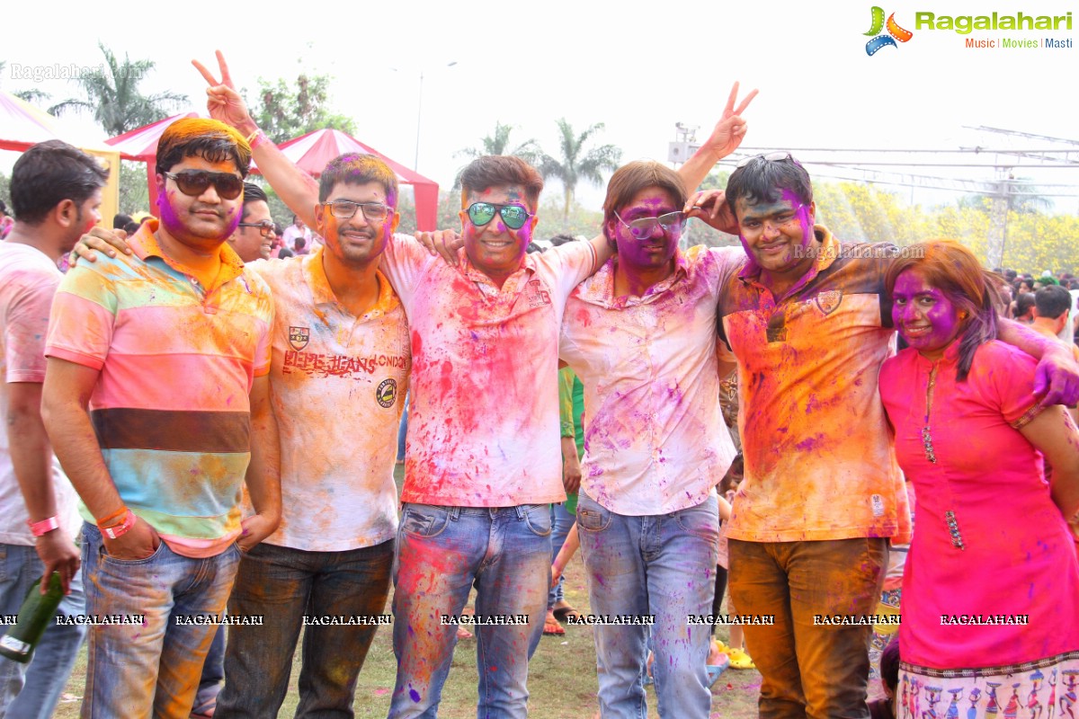 Bang Bang Holi Fest 2015 at Novotel, Hyderabad