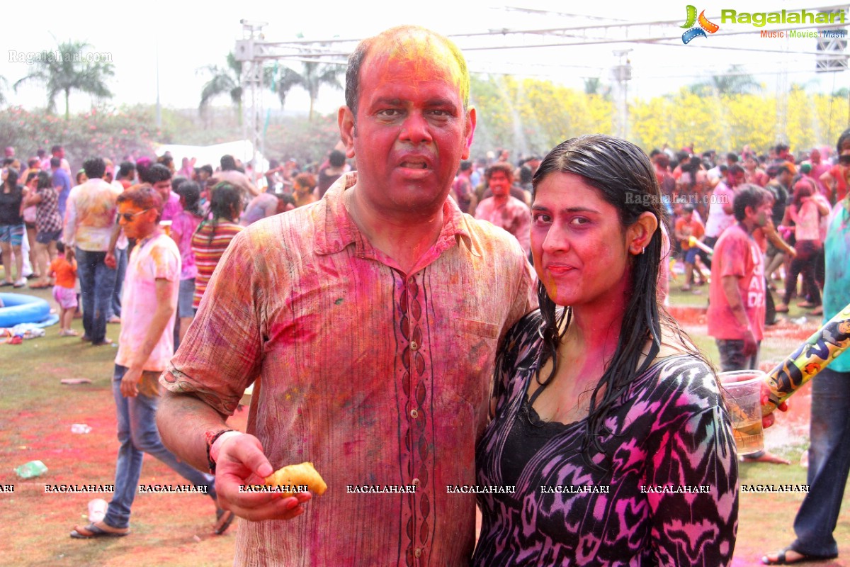 Bang Bang Holi Fest 2015 at Novotel, Hyderabad