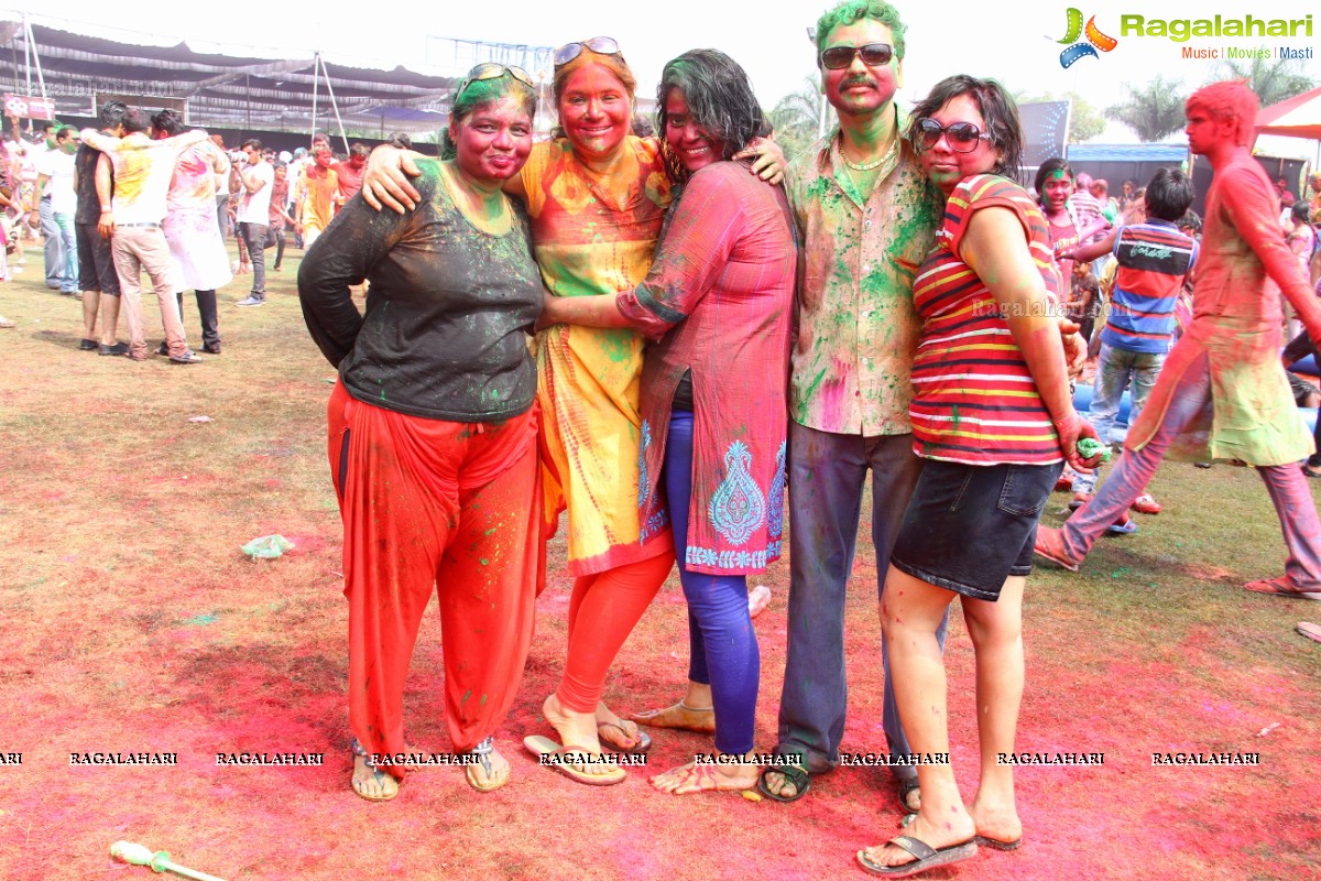 Bang Bang Holi Fest 2015 at Novotel, Hyderabad