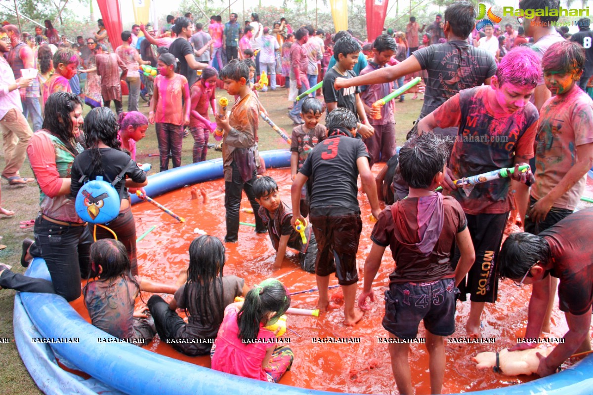 Bang Bang Holi Fest 2015 at Novotel, Hyderabad