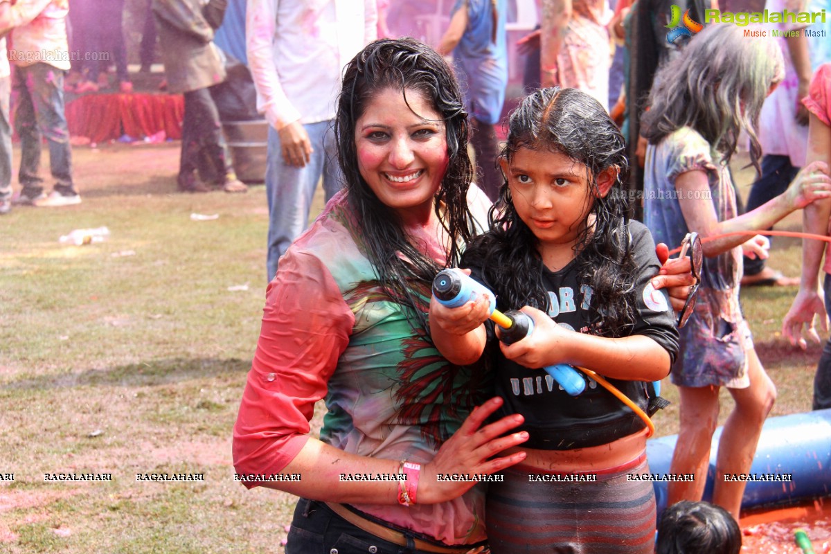 Bang Bang Holi Fest 2015 at Novotel, Hyderabad