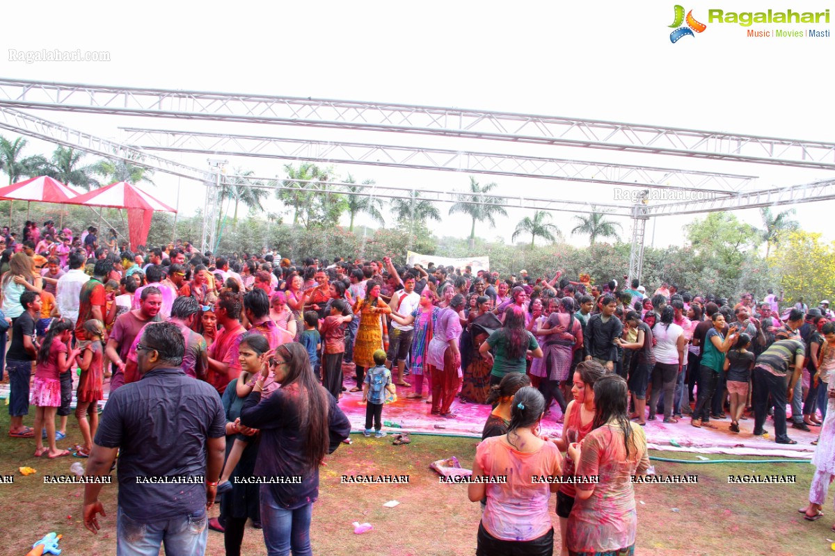 Bang Bang Holi Fest 2015 at Novotel, Hyderabad