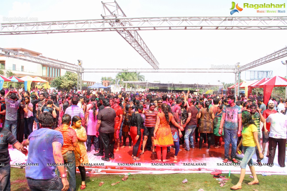 Bang Bang Holi Fest 2015 at Novotel, Hyderabad