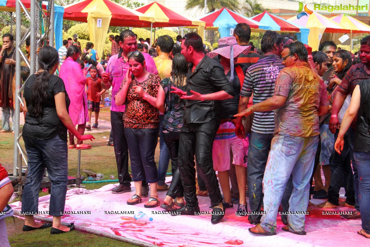 Bang Bang Holi Fest 2015 at Novotel, Hyderabad