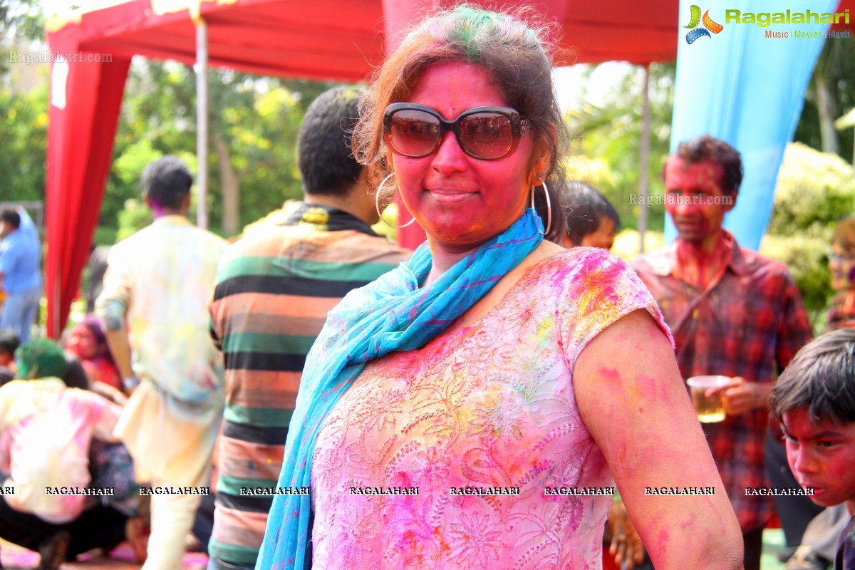 Bang Bang Holi Fest 2015 at Novotel, Hyderabad