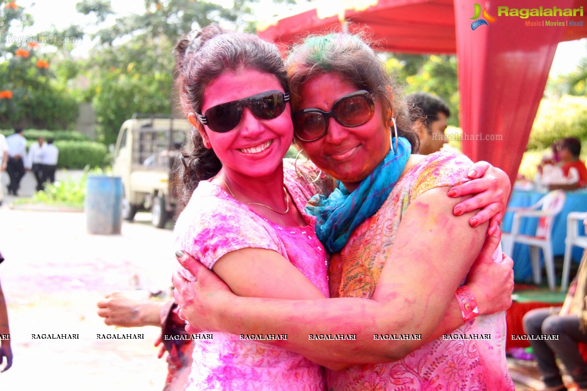 Bang Bang Holi Fest 2015 at Novotel, Hyderabad