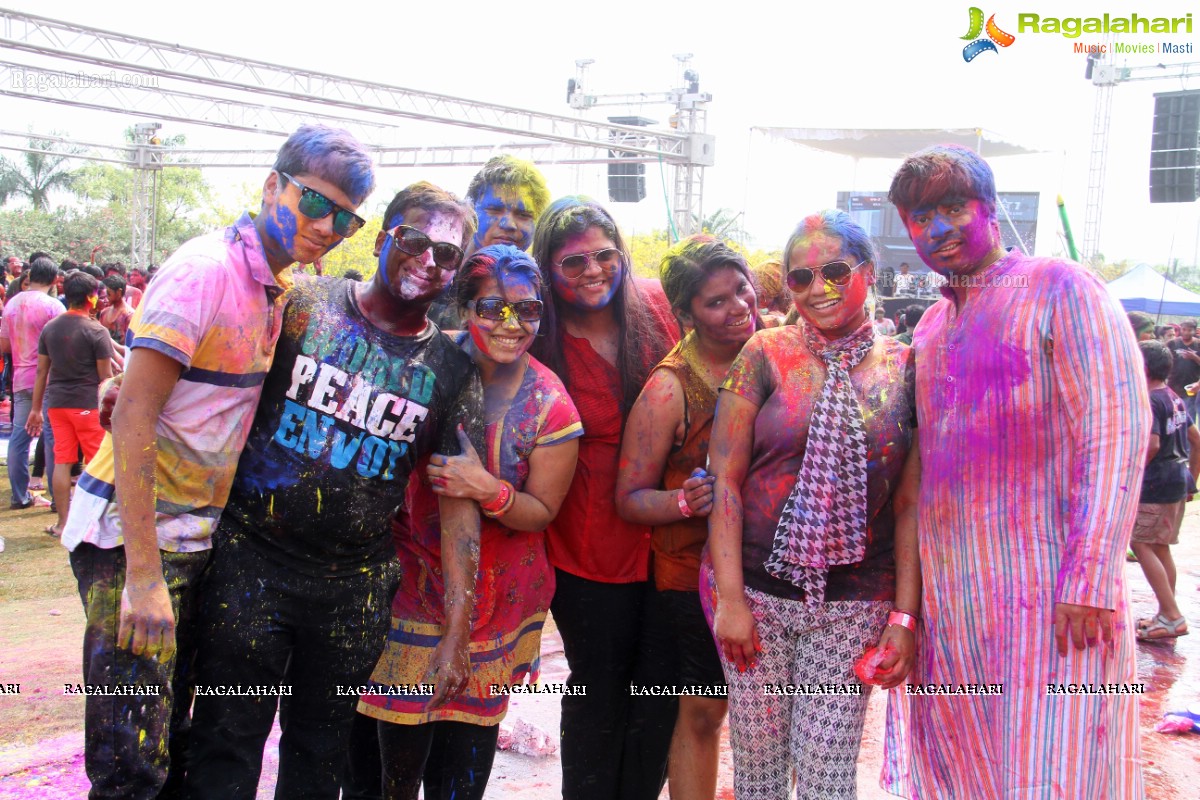 Bang Bang Holi Fest 2015 at Novotel, Hyderabad