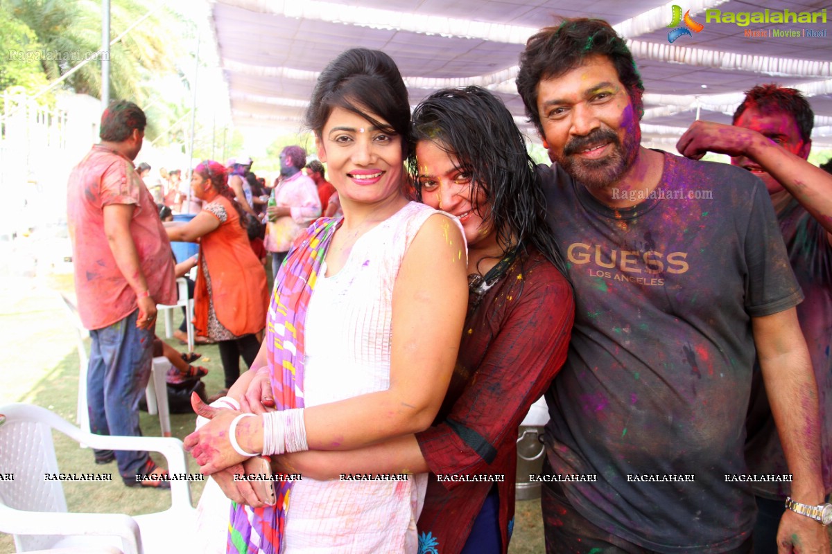 Bang Bang Holi Fest 2015 at Novotel, Hyderabad