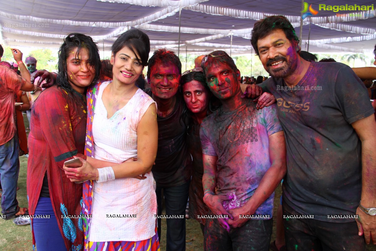 Bang Bang Holi Fest 2015 at Novotel, Hyderabad