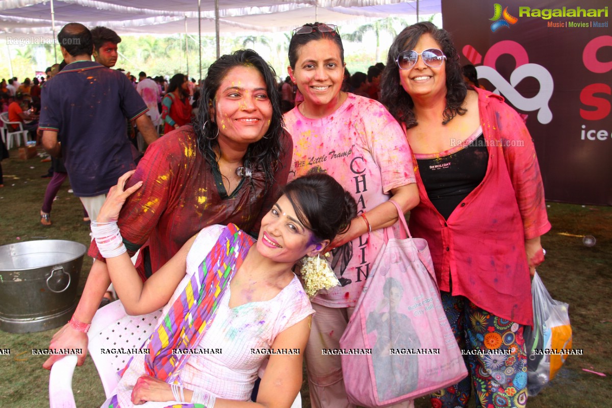 Bang Bang Holi Fest 2015 at Novotel, Hyderabad