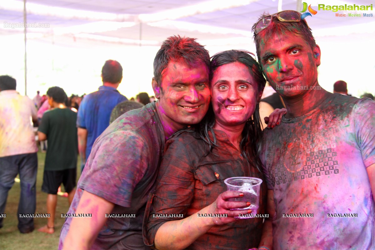 Bang Bang Holi Fest 2015 at Novotel, Hyderabad