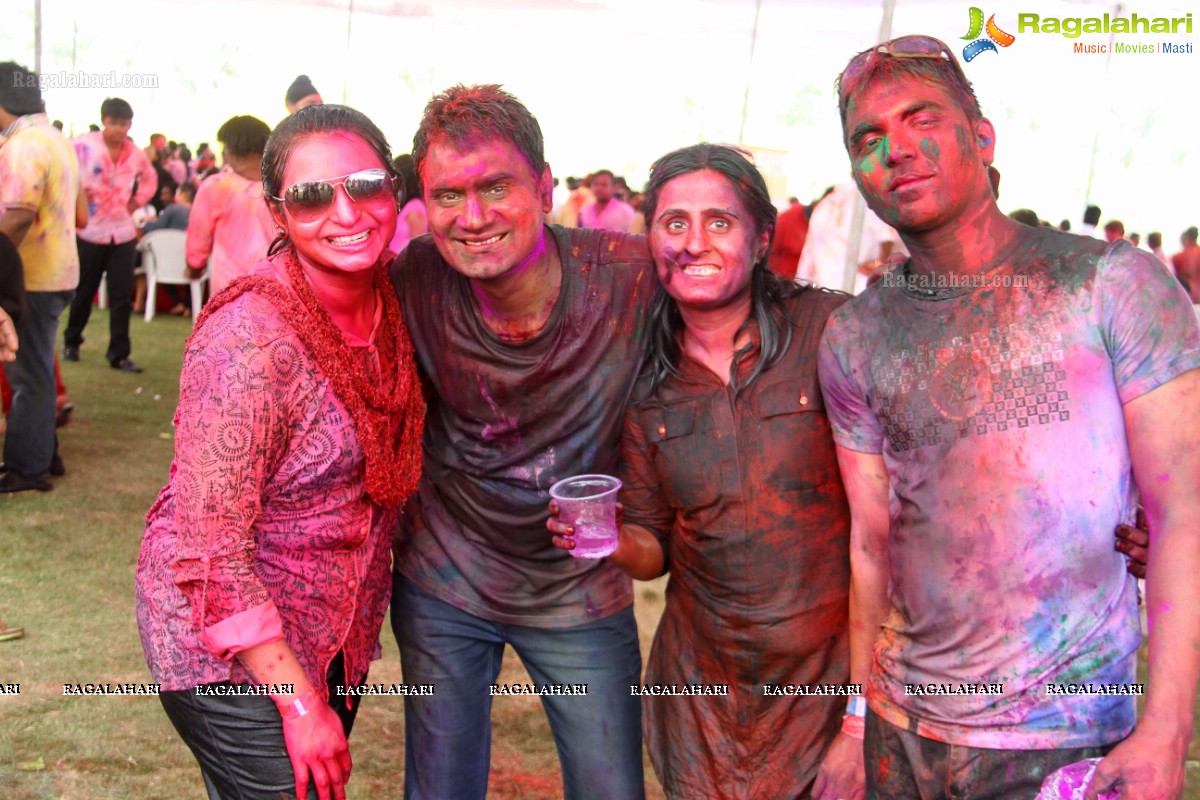 Bang Bang Holi Fest 2015 at Novotel, Hyderabad