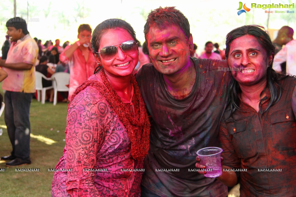 Bang Bang Holi Fest 2015 at Novotel, Hyderabad