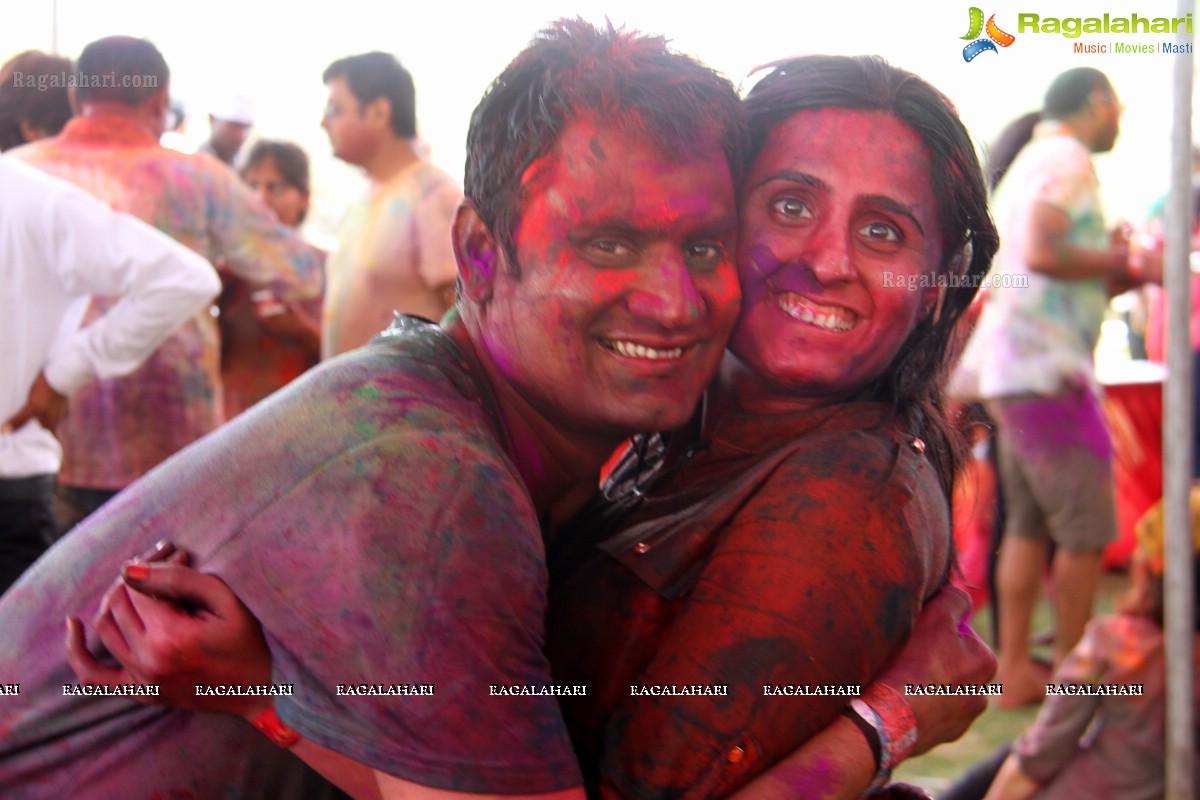 Bang Bang Holi Fest 2015 at Novotel, Hyderabad