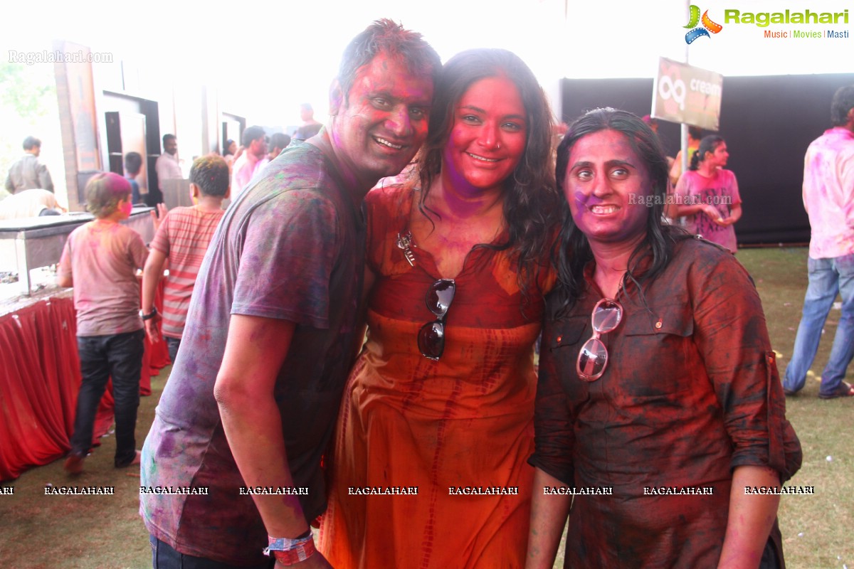 Bang Bang Holi Fest 2015 at Novotel, Hyderabad