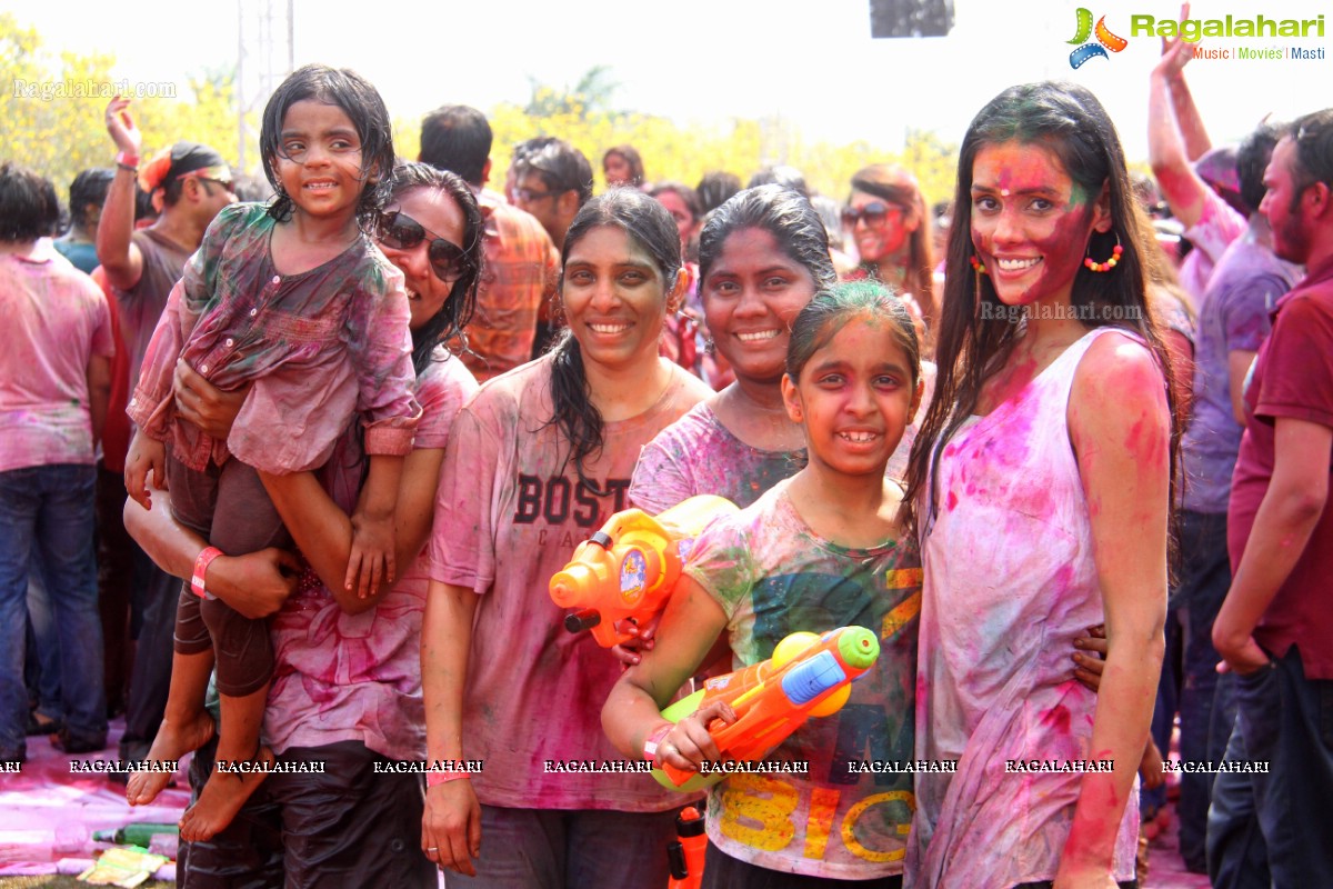 Bang Bang Holi Fest 2015 at Novotel, Hyderabad