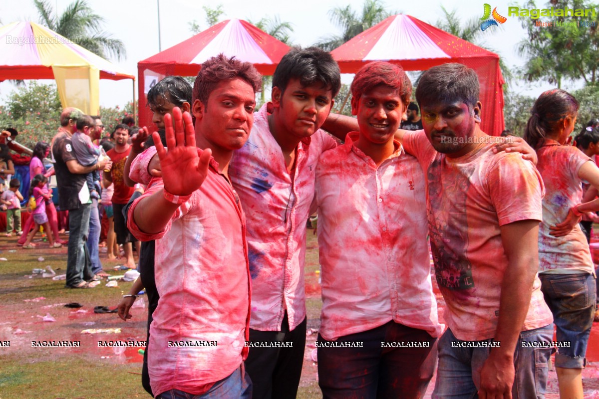 Bang Bang Holi Fest 2015 at Novotel, Hyderabad