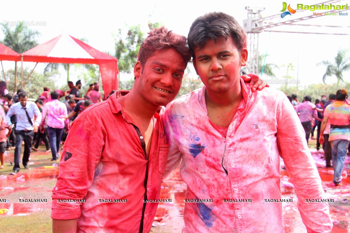 Bang Bang Holi Fest 2015 at Novotel, Hyderabad